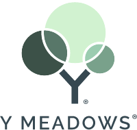 Y Meadows logo